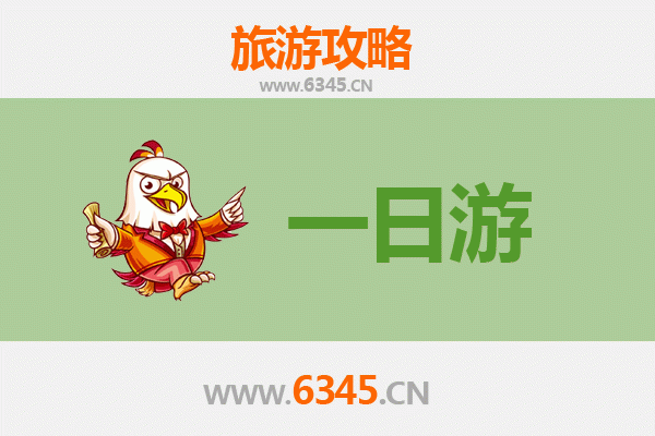 滨州沾化自驾一日游攻略：冬枣之乡的悠闲时光