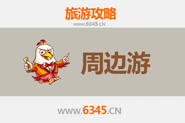 滨州博兴周边游攻略：探索鲁北风情，品味文化与自然之美