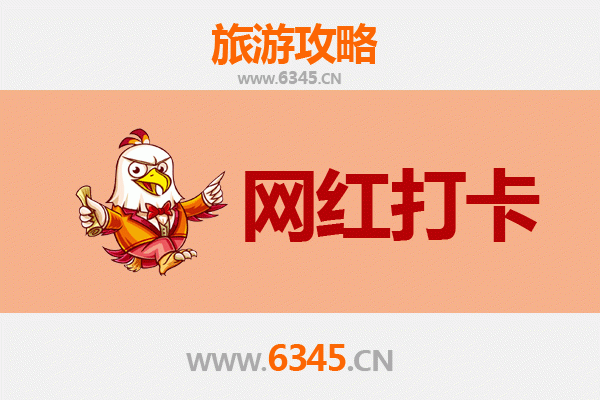 滨州沾化网红打卡地全攻略：冬枣之乡的别样风情